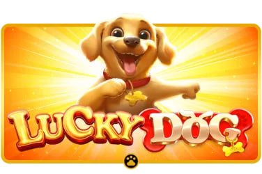 Live-dealer blackjack and roulette tables on bus4d during Piala Asia tournament